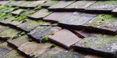 Sutton Manor roof repair costs